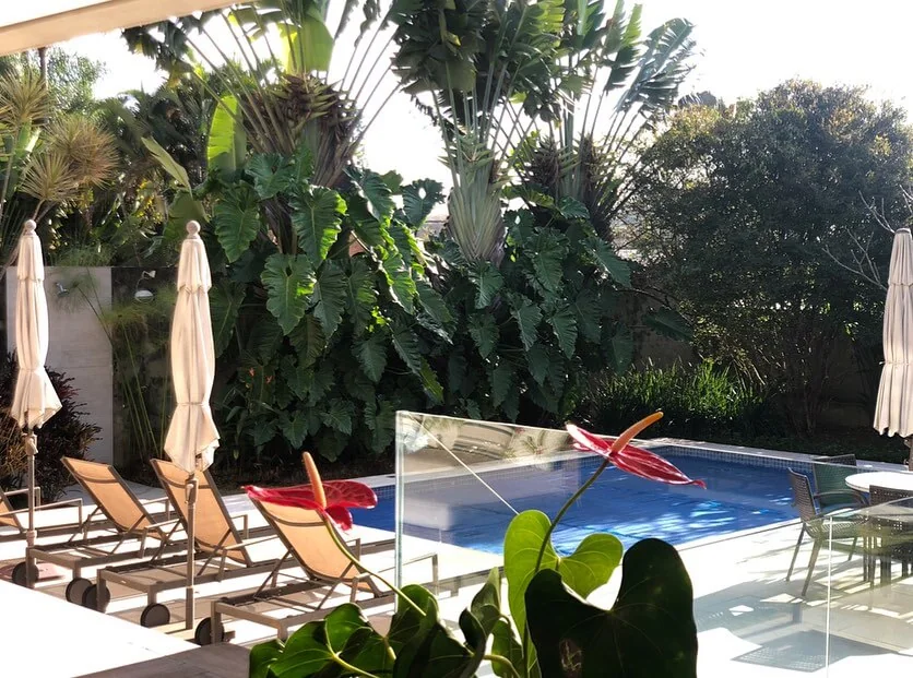 Área de lazer com piscina cercada por vegetação tropical