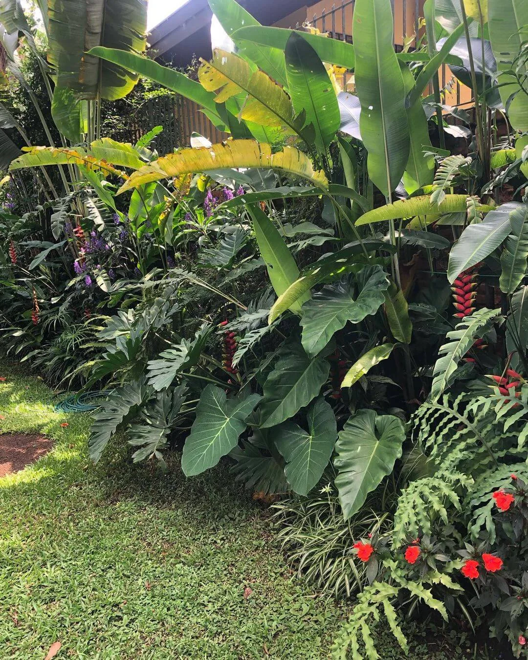 Maciço tropical com folhagens e flores vermelhas